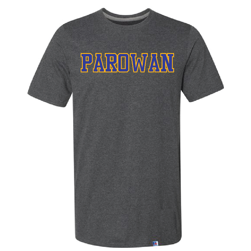 Charcoal Parowan T-Shirt Main Image